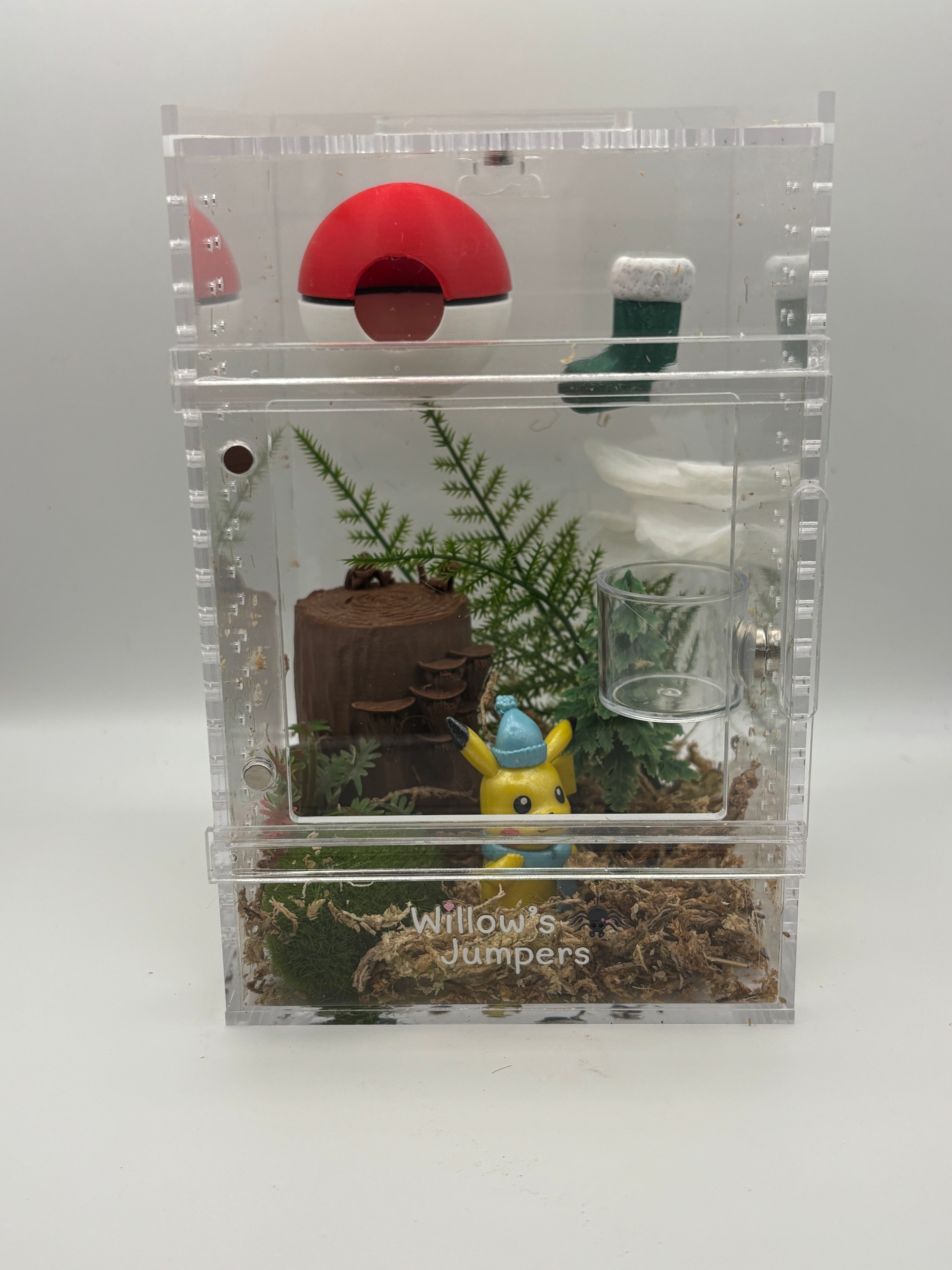 Pokémon-Themed Jumping Spider Enclosure (4x4x6)