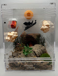 Holiday Jumping Spider Enclosure (6″ x 6″ x 8″)