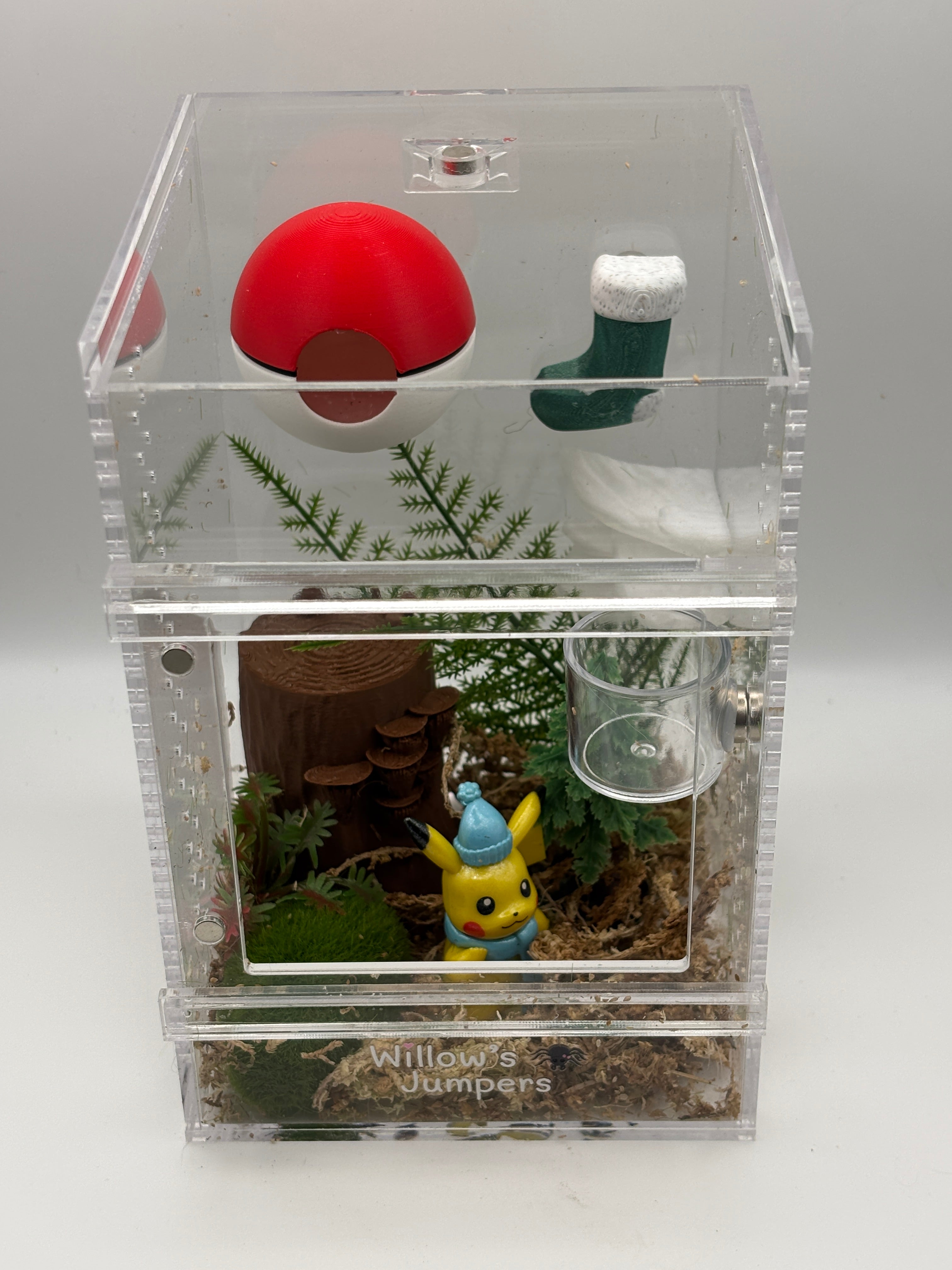 Pokémon-Themed Jumping Spider Enclosure (4x4x6)